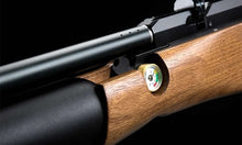 Cargar imagen en el visor de la galería, Rifle Pcp M-16a - 900 Fps + Bombin Pcp / Caza Geoutdoor