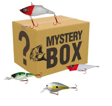 Cargar imagen en el visor de la galería, Caja Misteriosa Premium Pesca Señuelos Spinner Carrete Nylon