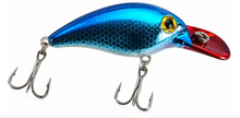 Cargar imagen en el visor de la galería, Señuelo Pesca Pocha Salmon Trucha 7cm 28g Spinning
