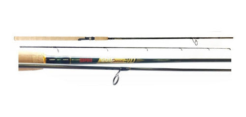 Caña Pesca De Mar Gold Special Evo 300xh 50-100 Geoutdoor